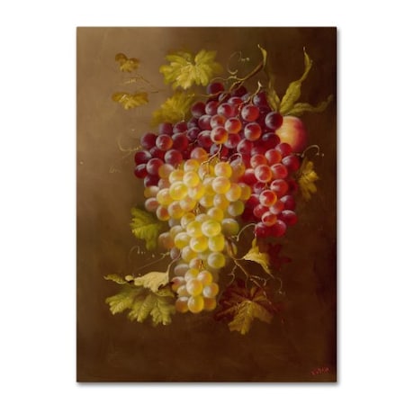 Trademark Fine Art Rio 'Still Life with Grapes' Canvas Art, 14x19 MA0428-C1419GG
